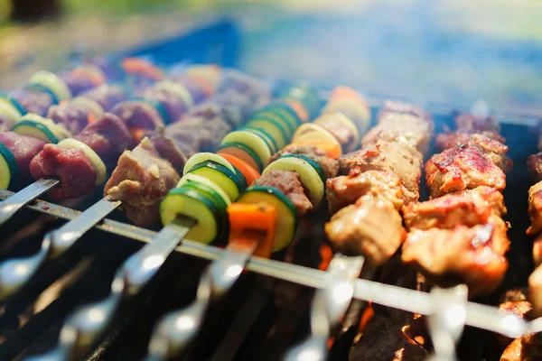 Húsos-zöldséges nyársat a grill a természetben — Stock Fotó