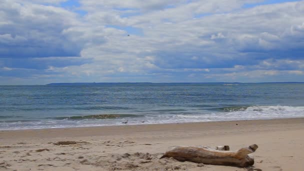 Kumlu plaj dokunmadan dalgalar üzerinde bulutlar — Stok video