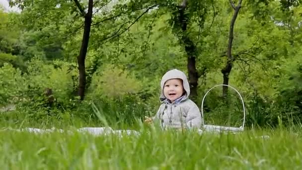 Lindo niño con dientes de león — Vídeos de Stock