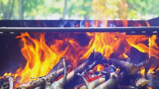 Tűz, máglya, fatüzelésű barbecue. — Stock videók