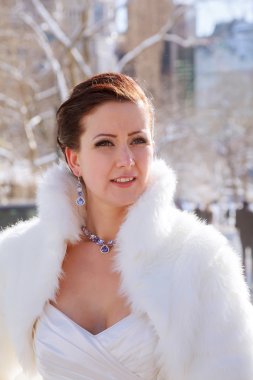 New York zemin karşı kışın gelin