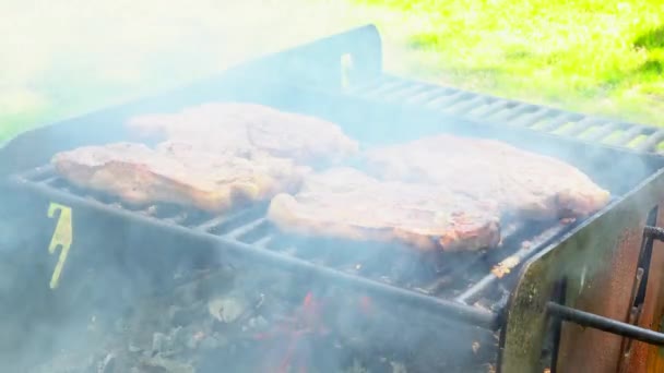 Suculentas estacas cozinhando no churrasco ao ar livre campo carne fumaça — Vídeo de Stock