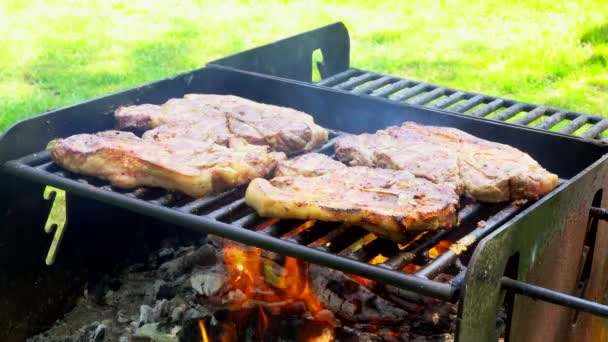 Sappige Stakes koken op Grill Barbeque Outdoors platteland vlees rook — Stockvideo