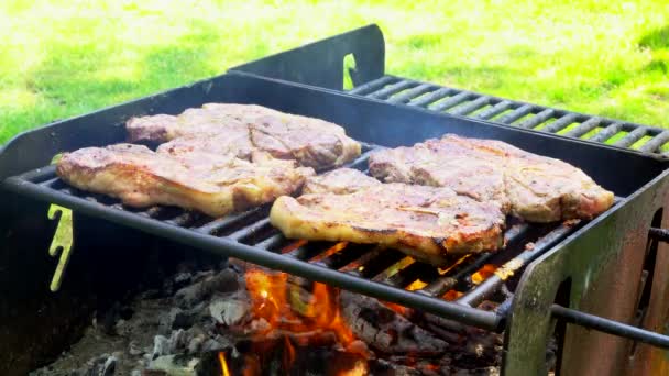 Mangal barbekü açık havada kırsal et duman pişirme sulu kazık — Stok video