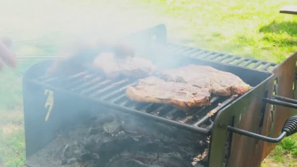 Juicy Stakes Cooking On Grill Barbeque Outdoors Countryside Meat Smoke — Stock Video
