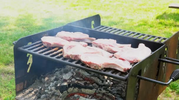 Bife de porco em um fogo aberto 4k — Vídeo de Stock