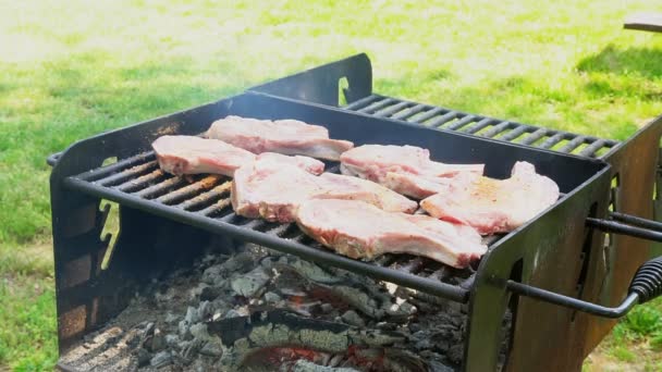 Bife de porco em um fogo aberto 4k — Vídeo de Stock