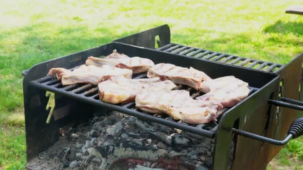 Bife de porco em um fogo aberto 4k — Vídeo de Stock