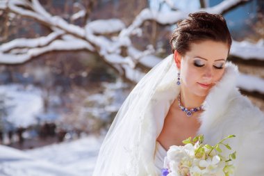 New York zemin karşı kışın gelin