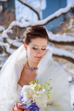 New York zemin karşı kışın gelin