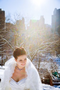 New York zemin karşı kışın gelin