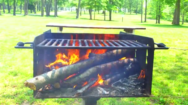 Grill brand, brasa, vedeldning. — Stockvideo