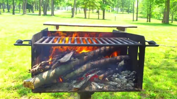 Grillfeuer, Lagerfeuer, Holzfeuer. — Stockvideo