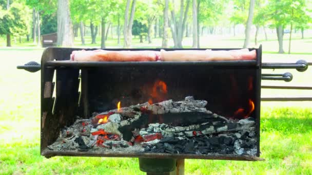 Grillen. Dönerspieß mit gegrillten Paprika auf heißem Grill — Stockvideo