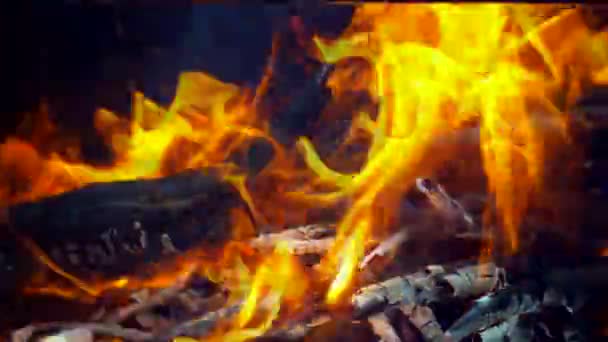 Churrasco fogo fogueira lenha queimando fogo churrasco de madeira — Vídeo de Stock