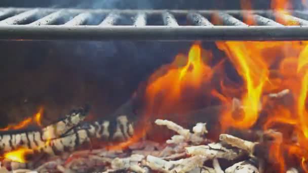 Churrasco fogo fogueira lenha queimando fogo churrasco de madeira — Vídeo de Stock