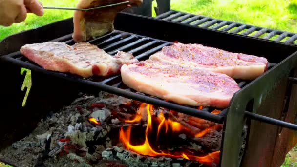 多汁的赌注烹饪上烤架烧烤户外农村肉烟 — 图库视频影像