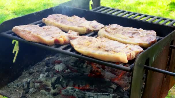 Arrostimento di carne su una bistecca di maiale a fuoco aperto su un fuoco aperto 4k — Video Stock