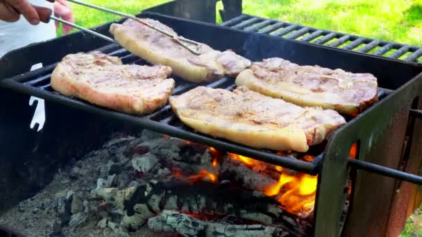 Arrostimento di carne su un fuoco aperto 4k — Video Stock