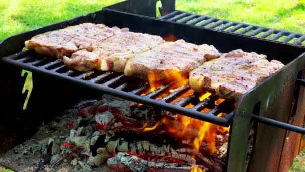 Arrostimento di carne su un fuoco aperto 4k — Video Stock