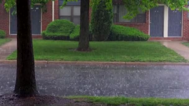 Lluvia fuerte cayendo sobre el camino — Vídeo de stock