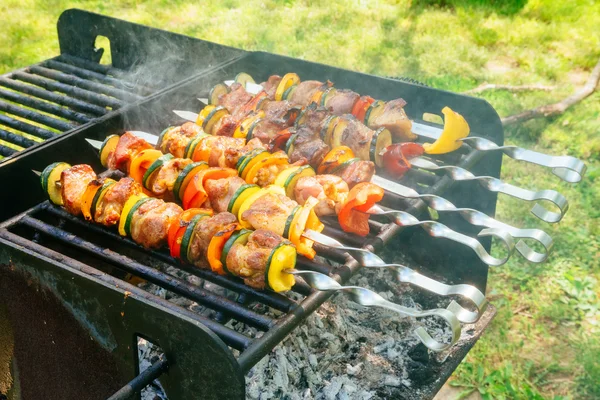 Vlees en fruit spiesjes op grill in de natuur — Stockfoto