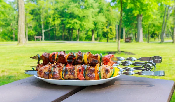 Brochettes grillées sur l'assiette avec poulet de porc, bacon et légumes . — Photo