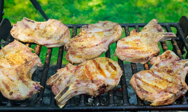 Filete de cerdo en un fuego abierto —  Fotos de Stock