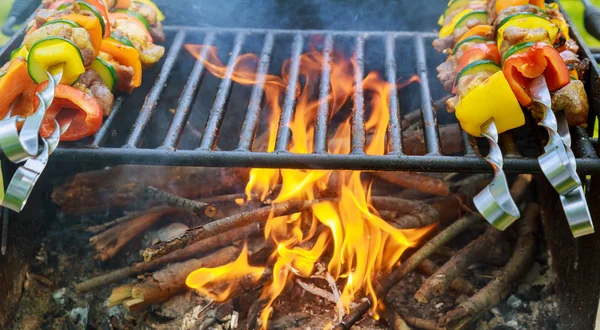 Meat and vegetable skewers on grill in nature — Stock Photo, Image