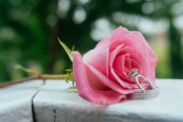 Set di fedi nuziali in rosa prese primo piano con gocce d'acqua — Foto Stock