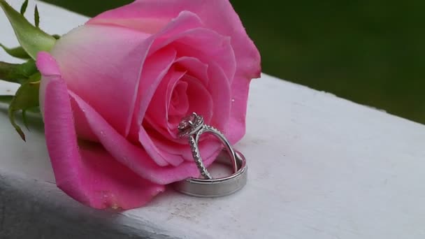 Hermoso primer plano rosa y anillos de boda con gotas de agua — Vídeos de Stock