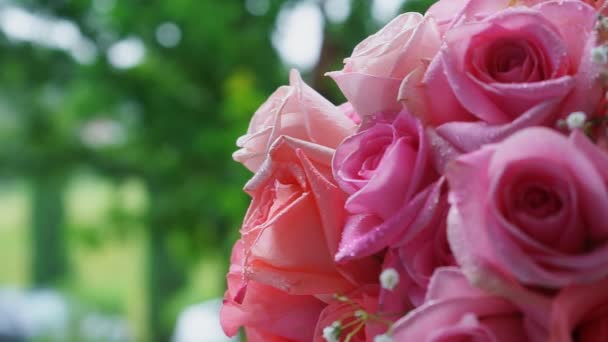 Свадебный букет из розовых и фиолетовых роз закрыть — стоковое видео