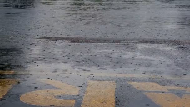 Lluvia fuerte cae sobre la superficie del agua del lago — Vídeos de Stock