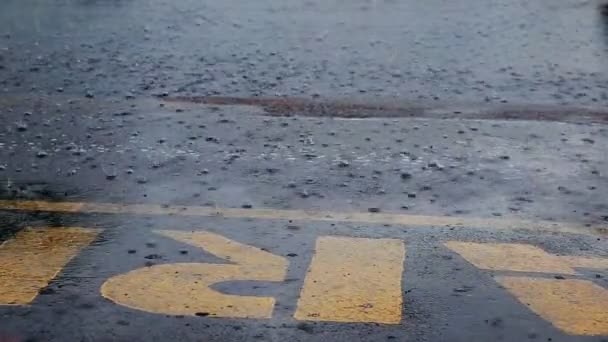 Starke Regentropfen fallen auf die Wasseroberfläche des Sees — Stockvideo
