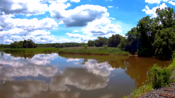 Reflektioner av grön skog, blå himmel och moln i det lugna vattnet i sjön — Stockvideo