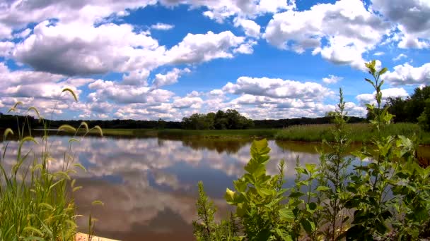 Reflexões de floresta verde, céu azul e nuvens na água calma do lago — Vídeo de Stock