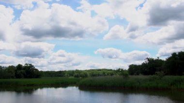 Güneşli bir günde göl kenarındaki yeşil ağaçlar, gökyüzünde bulutlar...