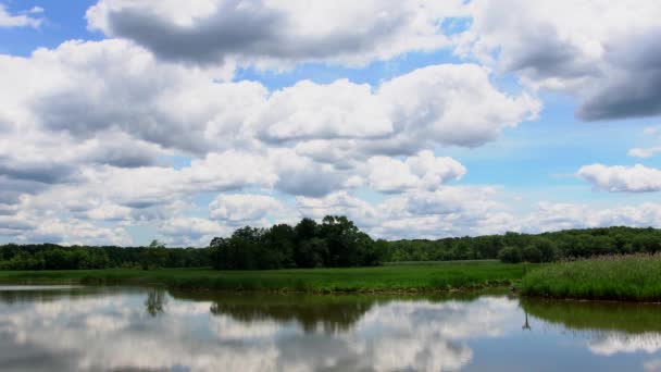 Arbres verts au bord du lac par une journée ensoleillée, avec des nuages sur le ciel 