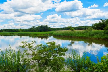 Bulutlu gökyüzü göl güneşli gün yeşil ağaçlar