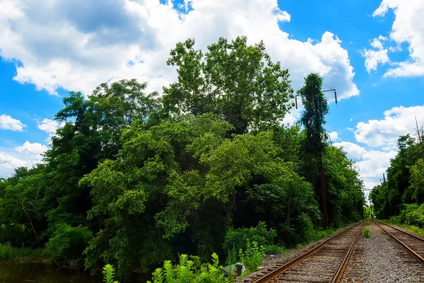 Árvores verdes junto ao lago dia ensolarado, com nuvens no céu ferrovia trilhos estrada — Fotografia de Stock
