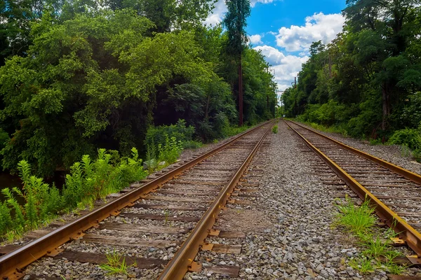 Alberi verdi vicino al lago giornata di sole, con nuvole sulla strada ferroviaria cielo — Foto Stock