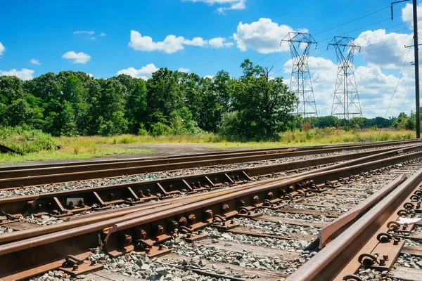 Ferrovia va all'orizzonte nel paesaggio verde — Foto Stock