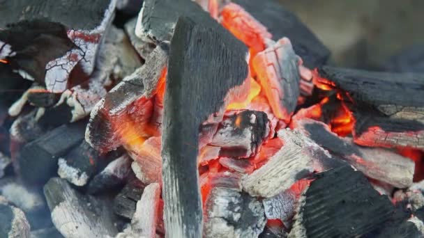 Carbón vegetal ardiente con llama de color naranja y brillo Enfoque selectivo, Enfoque en partes de las piezas de carbón alrededor de la llama — Vídeo de stock