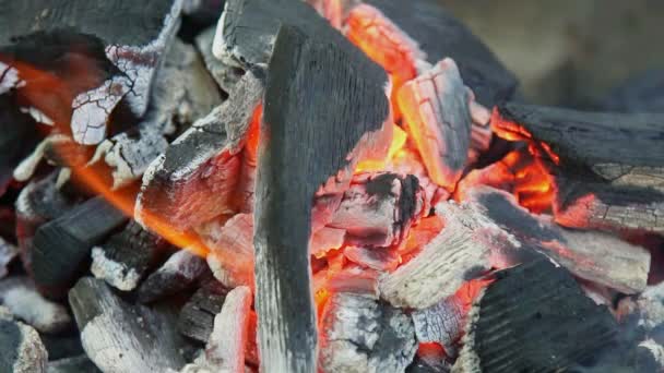 Briquetes de carvão quente brilhante Close-up Fundo Textura carvão fogo fumaça churrasco — Vídeo de Stock
