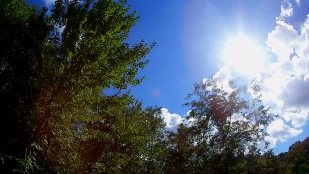 Ciel venteux avec arbre 