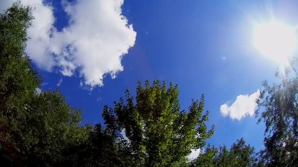 Blåsigt himmel med träd — Stockvideo