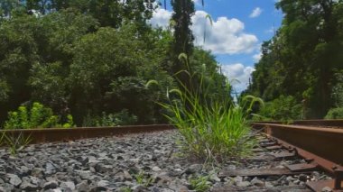 Rahip bir Hıristiyan vaaz buhurdan kilise ayin foog şarkı
