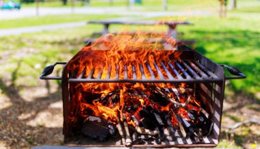 Barbekü ahşap yangın doku şenlik ateşi köz
