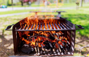 Barbekü ahşap yangın doku şenlik ateşi köz