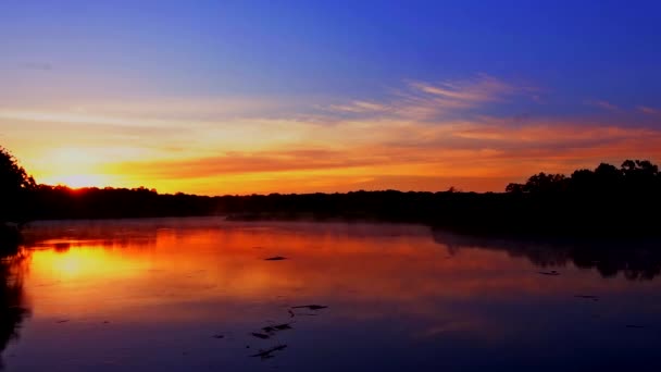 Niebla y bosque y lago reflejo de los árboles en el agua — Vídeo de stock